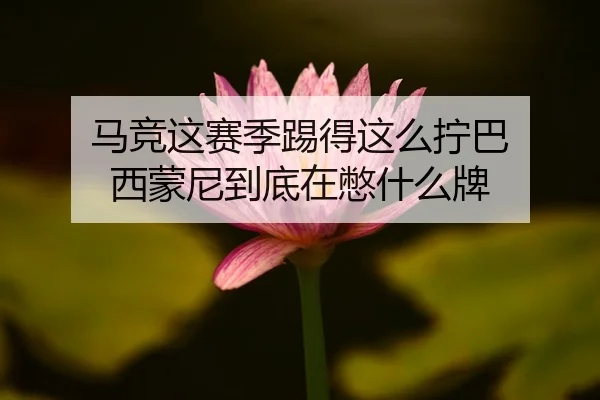 ma-jing-zhe-sai-ji-ti-de-zhe-me-ning-ba-xi-meng-ni-dao-di-zai-bie-shen-me-pai-2-226.jpg