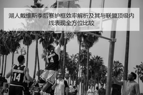 湖人戴维斯季后赛护框效率解析及其与联盟顶级内线表现全方位比较 | leyu