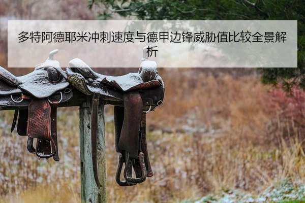 多特阿德耶米冲刺速度与德甲边锋威胁值比较全景解析 | leyu