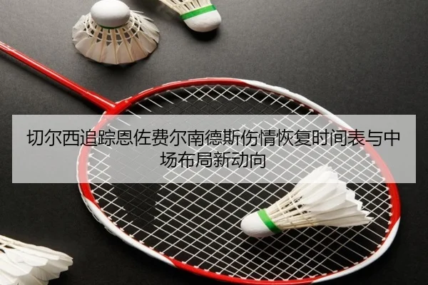 切尔西追踪恩佐费尔南德斯伤情恢复时间表与中场布局新动向