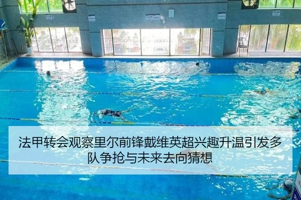 法甲转会观察里尔前锋戴维英超兴趣升温引发多队争抢与未来去向猜想 | leyu