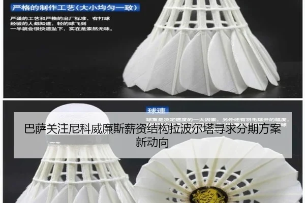巴萨关注尼科威廉斯薪资结构拉波尔塔寻求分期方案新动向 | leyu