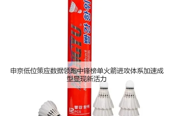 申京低位策应数据领跑中锋榜单火箭进攻体系加速成型显现新活力 | leyu